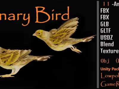 Canary Bird Low-poly 3D model