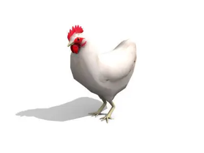 White Chicken - Animated Low Poly Low-poly 3D model