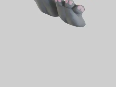 Cat Paws Model 3D model