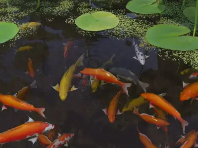 Lotus and Koi Fish Pond 02 Low-poly 3D model