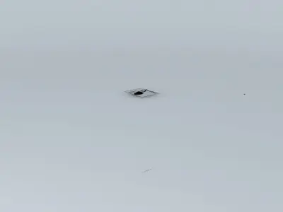 Blue Cherokee Adventures Free 3D model