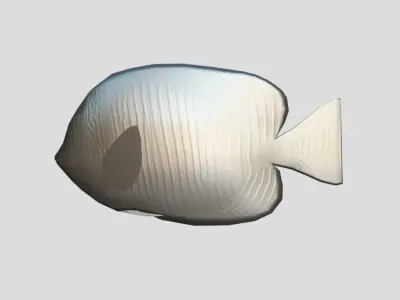 Zebrasoma desjardinii Low-poly 3D model