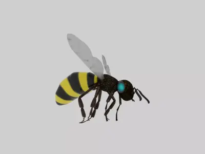 flying bee 3D model