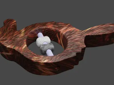 stam mirror model Free low-poly 3D model