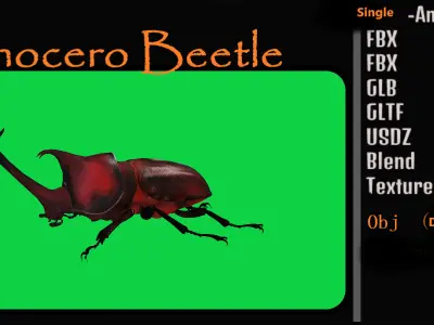 Dynastinae Rhinoceros Beetle Low-poly 3D model