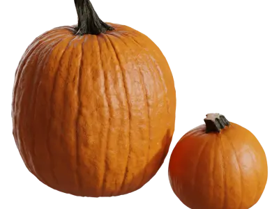  Large Pumpkin Models Collection 
