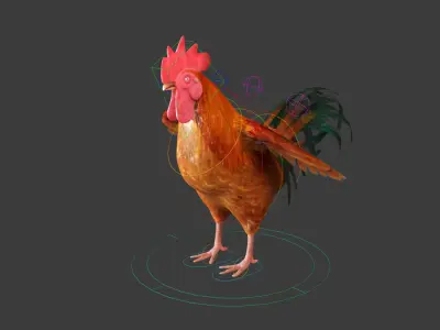 Chicken Rigged 3D model 3D model