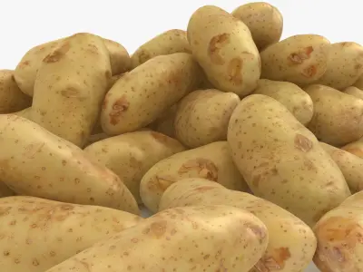 Potato Pile 3D model