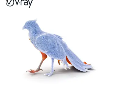 Exotic Bird D Model Pack with Detailed Plumage Low-poly 3D model