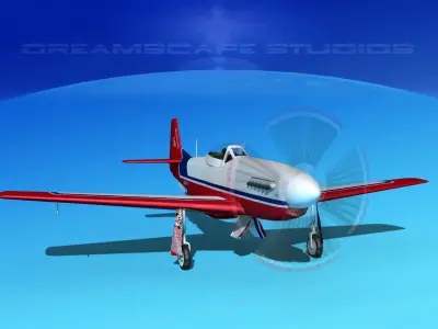 P-51 Mustang Sport Serious 3D model