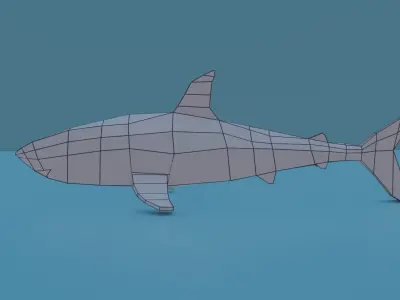 Bull shark Free low-poly 3D model