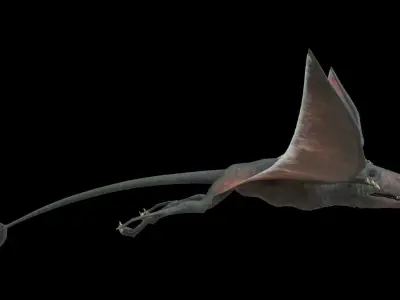 4K Eudimorphodon Low-poly 3D model