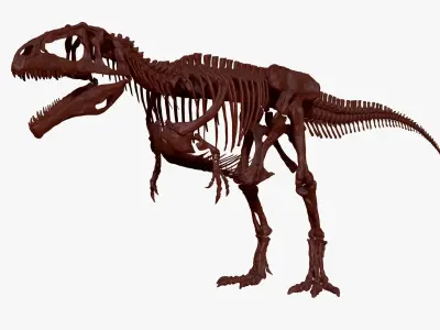 Dinosaur Giganotosaururs Full Skeletons Sculpt Project 3D model