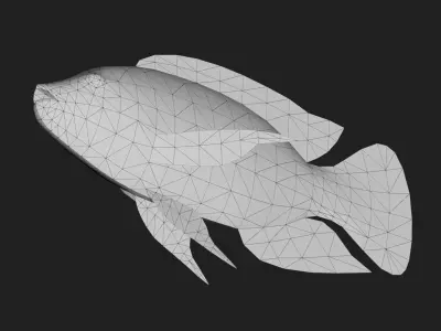 Cichlid Low-poly 3D model