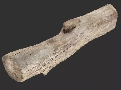 A length of wood 3d scan in highpoly 3D model