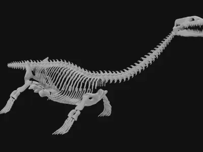 Plesiosaur skeleton 3D model