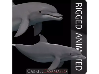 BottleNose Dolphin Tursiops Truncatus Low-poly 3D model