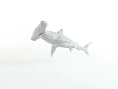 Hammerhead Shark Low Poly Predator Jaws Lowpoly Low-poly 3D model