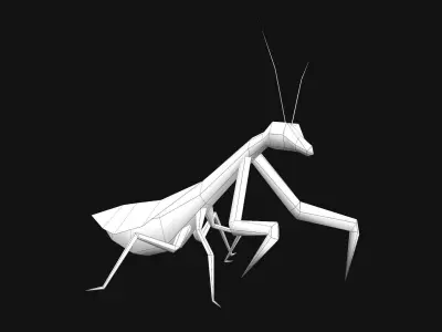 Animated Mantis Low-poly 3D model