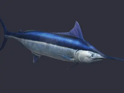 swordfish marlin ocean sea fish swim fast 3D model
