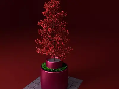 Potted young red leaved tree 1 Free 3D model