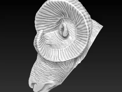 ram horned head 3D model