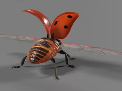 Ladybug Animated 3D model