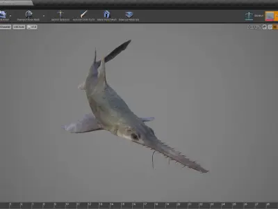 Saw Shark Low-poly 3D model