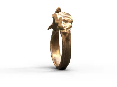High-Quality 3D Ring Jet Model Low-poly 3D model