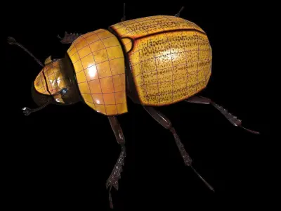scarab beetle Low-poly 3D model