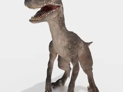 velociraptor dinosaur Low-poly 3D model