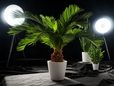  Sago Palm Potted Plant Model 