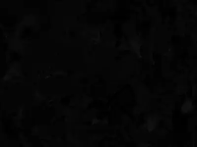 Cute Cartoon Fox 3D Model Low-poly 3D model