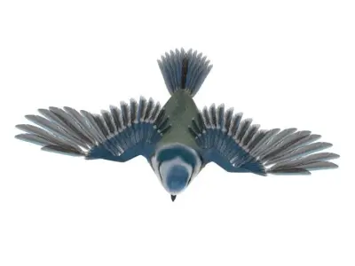 Blue titmouse bird Low-poly 3D model