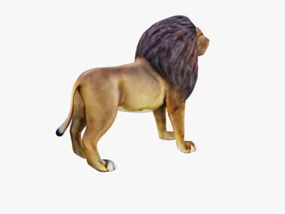 Lion Animal Free 3D model