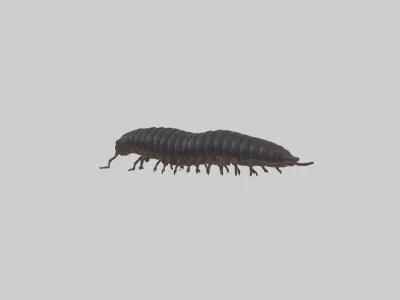 Desert Millipede Low-poly 3D model