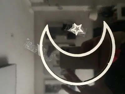 5 modelos diferentes  gato  aguila luna cubo colibri 3D model