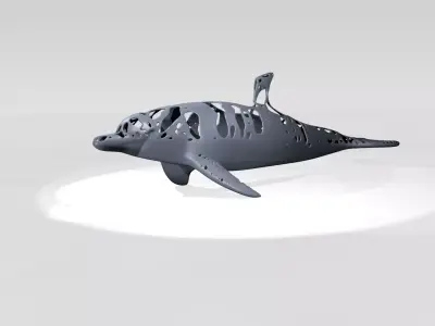 Dolphin Dust Voronoi 3D model