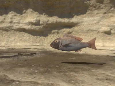 Fish 3D flying in sky Low-poly 3D model