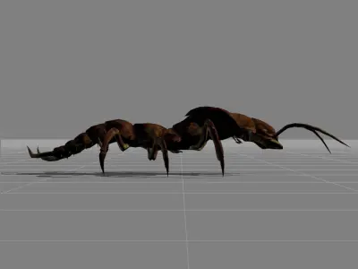 Centipede Animal Low-poly 3D model