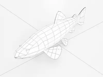 Brown Trout fish 3d model  Low-poly 3D model