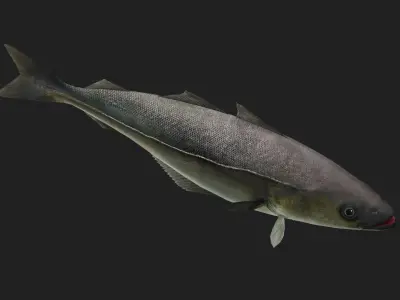 Cod fish Low-poly 3D model