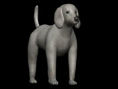 Poodle Dog 3D model