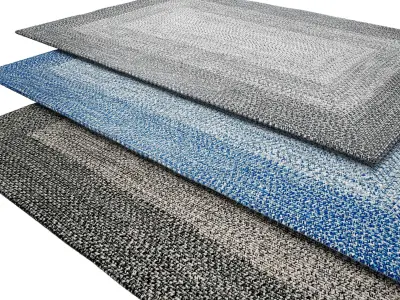 Jayda Braided Ombre Rug 3D model