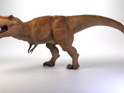Tyrannosaurus Rex 3D model