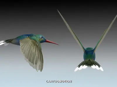 Humming bird Low-poly 3D model