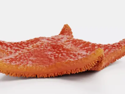 -Bat Starfish Red Rigged- 3D model