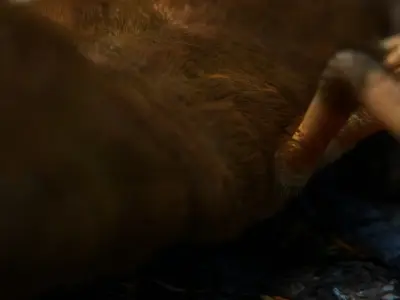 Prehistoric Spider Low-poly 3D model