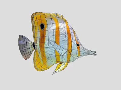 Butterflyfish Realistic Animated Low-poly 3D model