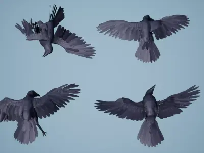 Dead Crow Low-poly 3D model